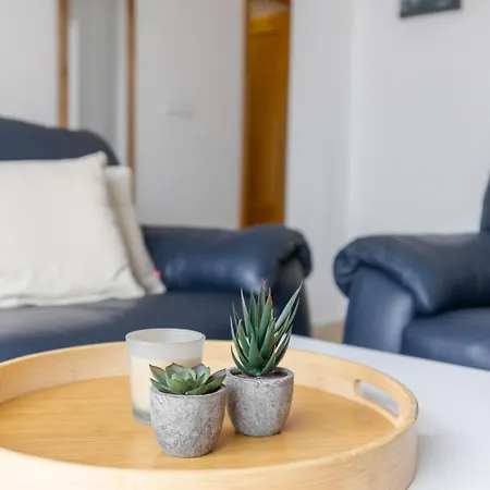 Vive El Paraiso En Oasis Gran Alacant